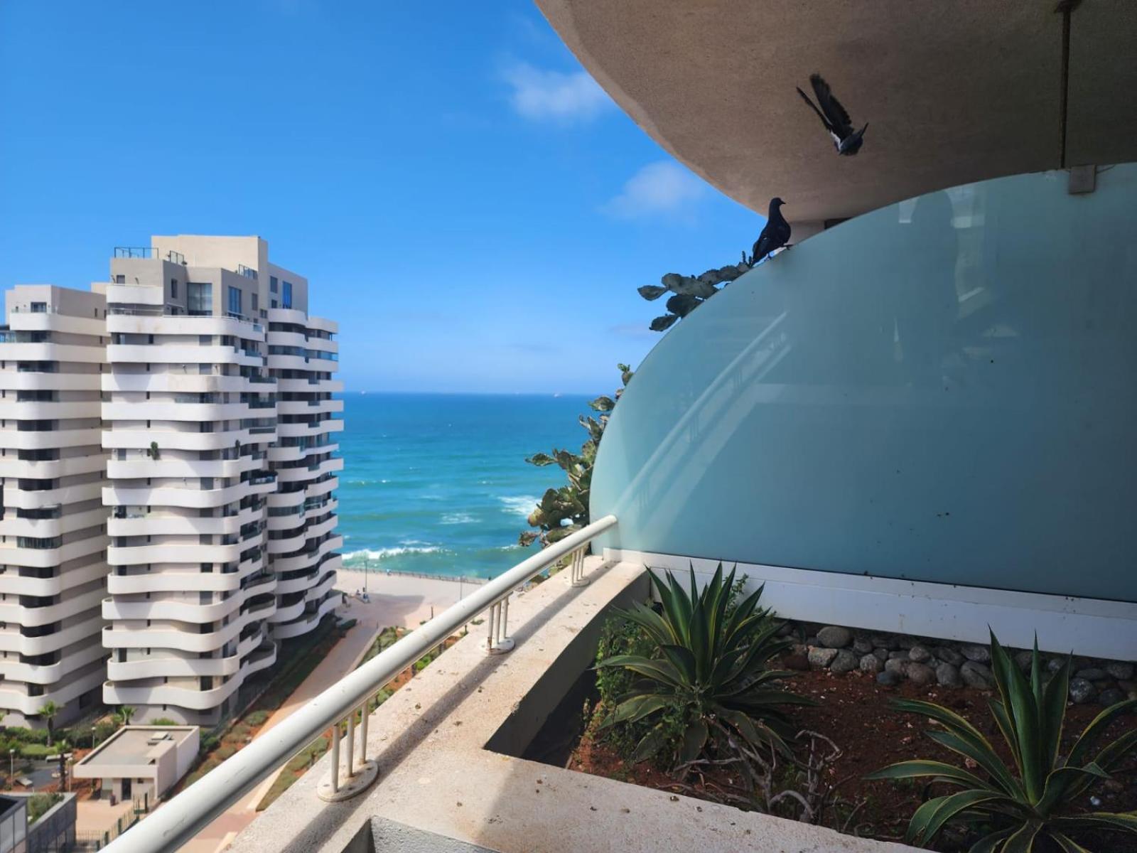 Superb On 14th Floor With Jacuzzi *